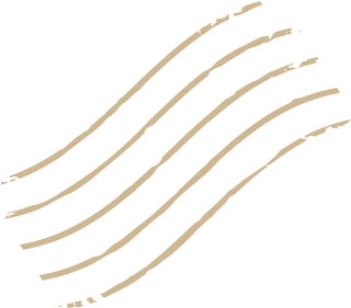 Abstract wavy lines